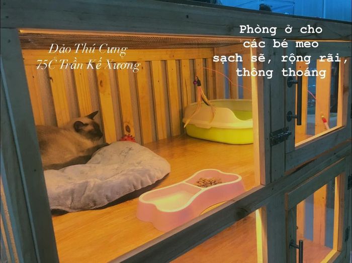 Hình 1 của Đảo Thú Cưng