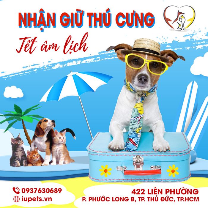 IU Pets - Hình 1