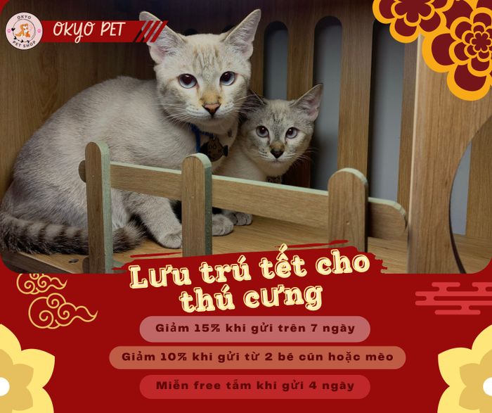 Hình 2 của Okyo Pet House