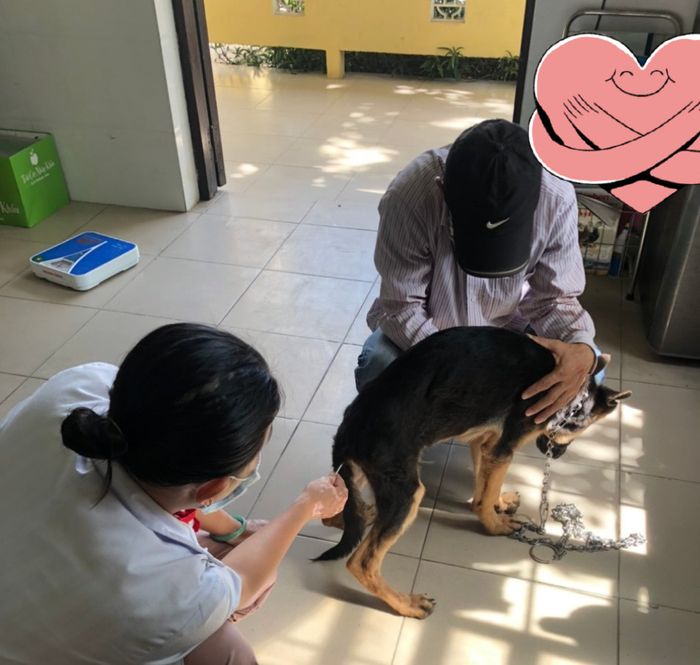Bệnh Viện Thú Y Huế - Hình ảnh 3