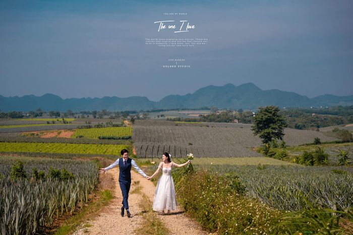 Ảnh của Golden Studio 3