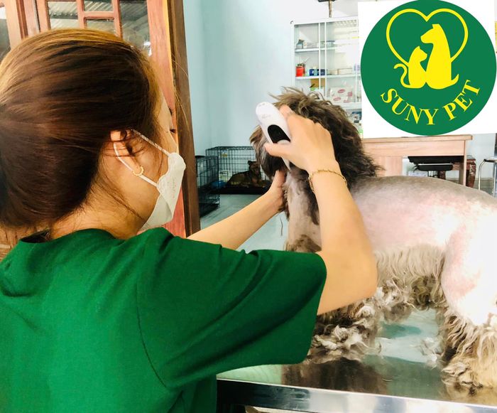 Hình ảnh 2 - Phòng Khám Thú Y SUNY PET