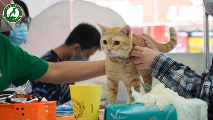 Hình ảnh Bệnh Viện Thú Y PetHealth 2