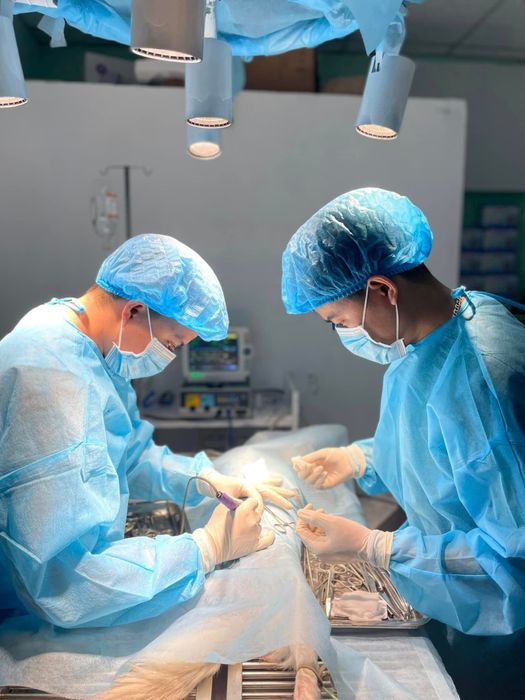 Hình ảnh 3 của Bệnh viện thú y MB Vet Huế