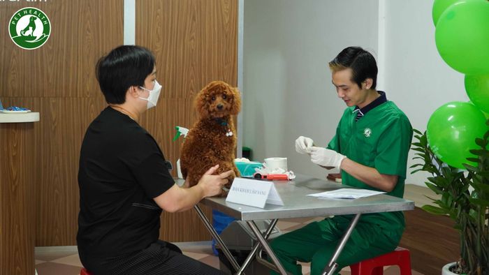 Hình ảnh Bệnh Viện Thú Y PetHealth 1