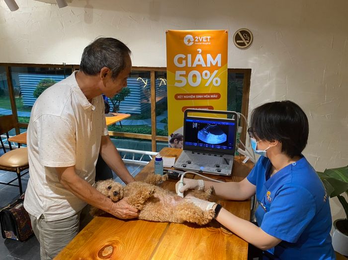 Hình ảnh Phòng Khám Thú Y 2Vet 2