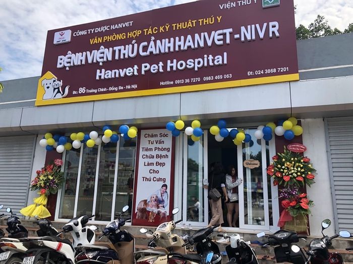 Hình ảnh Bệnh Viện Thú Cảnh Hanvet 1
