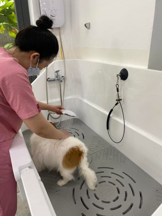 Bệnh viện Thú y Nhật Bản ảnh 2