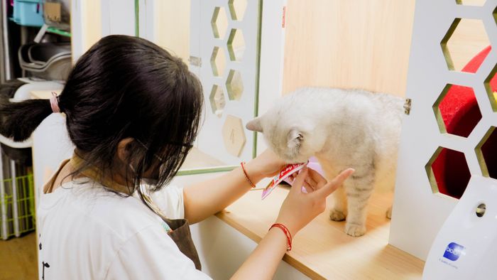 Nhà Của Thú Cưng ảnh 1