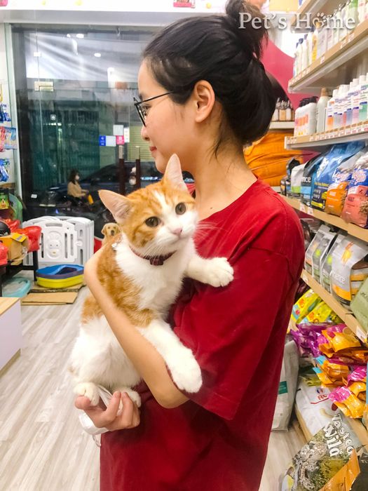 Nhà Của Thú Cưng ảnh 2