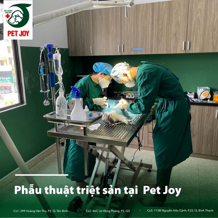Phòng Khám Thú Y Pet Joy hình 2