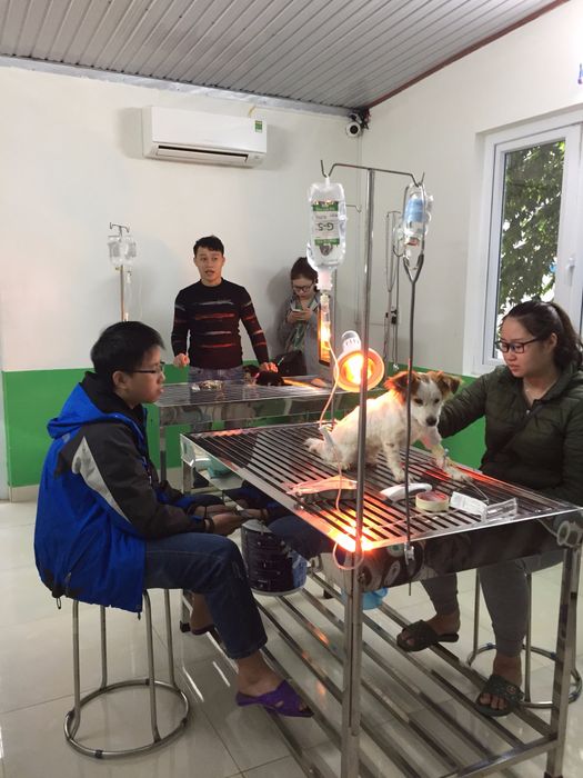Ảnh 2 của Bệnh viện thú y Win Pet Huế
