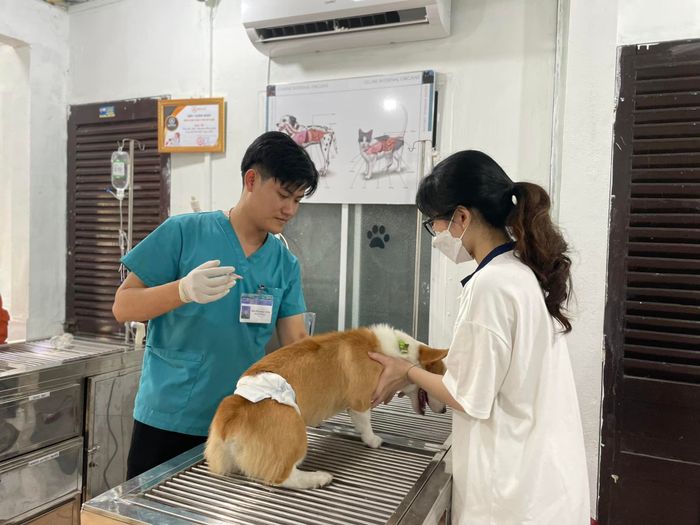 Ảnh 1 của Bệnh viện thú y MB Vet Huế