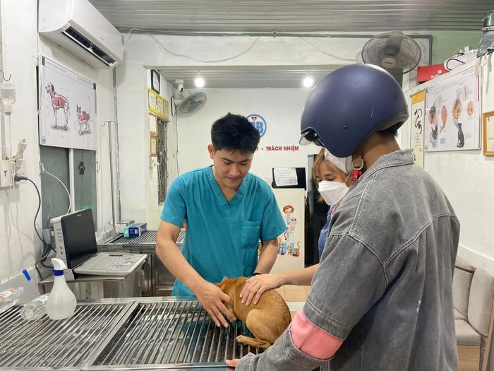 Hình ảnh 2 của Bệnh viện thú y MB Vet Huế