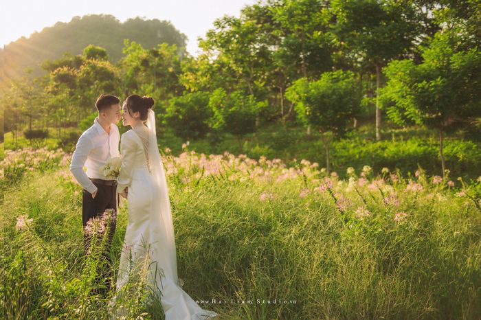 Ảnh chụp từ Hải Liam Wedding 2