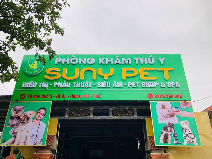 Phòng Khám Thú Y SUNY PET - Hình ảnh 1