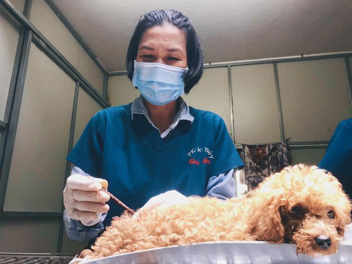 Hình ảnh 2 - Phòng Khám Thú Y Tuấn Ngọc