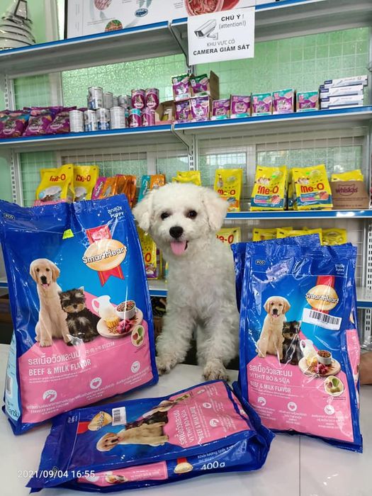 Hình ảnh 3 của Bệnh viện thú y & Petshop OKADA