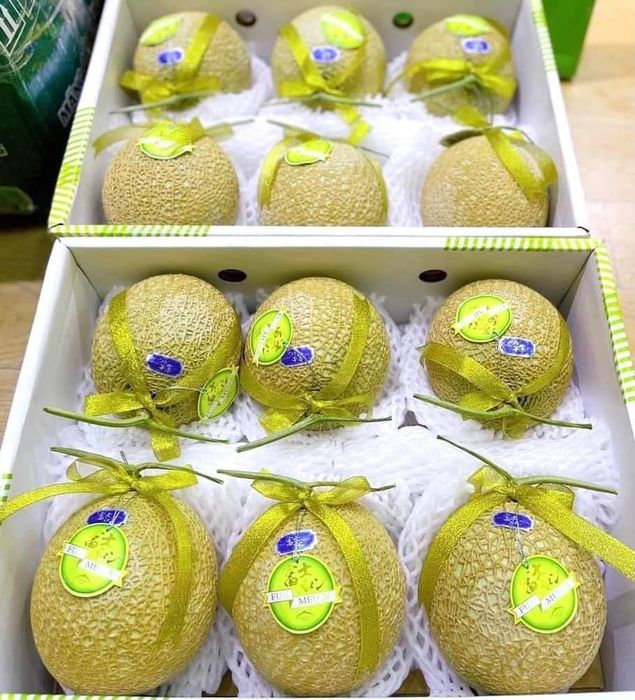 Hình ảnh 3 của Ố là la Fruits