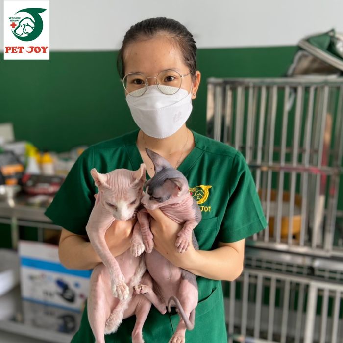 Phòng Khám Thú Y Pet Joy hình 1