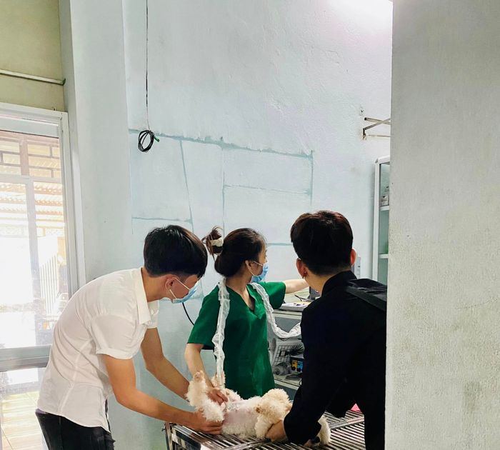 Hình ảnh 3 - Phòng Khám Thú Y SUNY PET