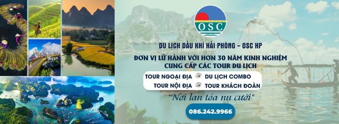 Công Ty Cổ Phần Du Lịch Dịch Vụ Dầu Khí Hải Phòng – Hình ảnh 2