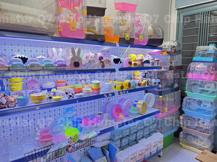 Chíp Hamster hình ảnh 2