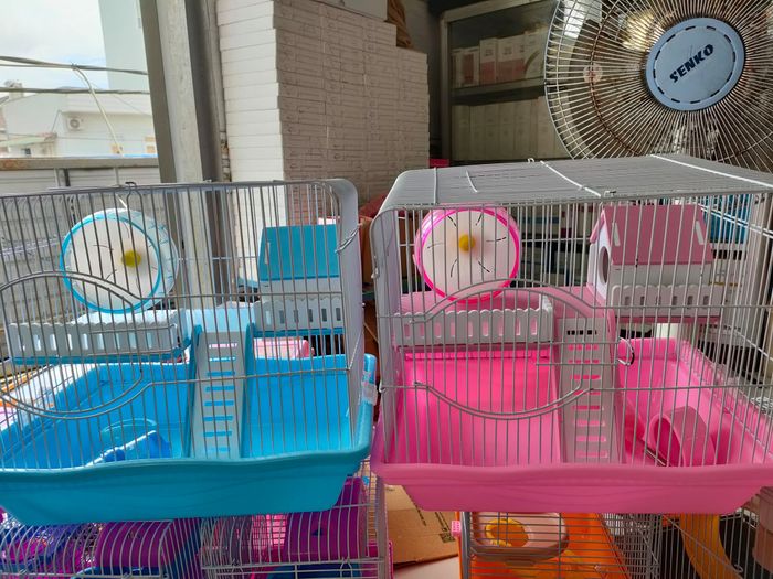 Hình ảnh 3 tại Ngọc Thơ Petshop