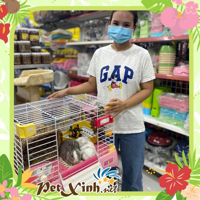 Hình ảnh 2 của PetXinh.net
