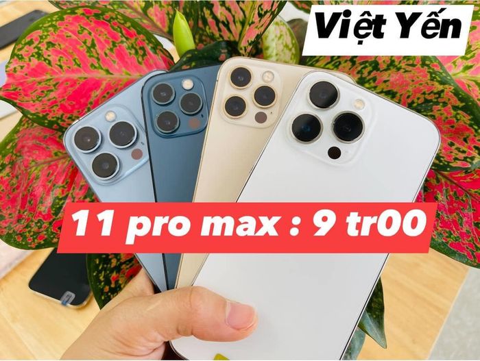 Hình ảnh của Di Động Việt Yến 1