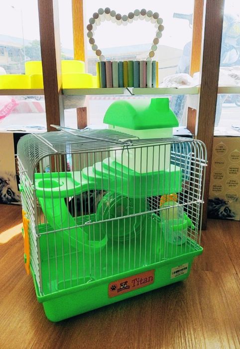 Hình ảnh 3 tại Pet shop TITAN