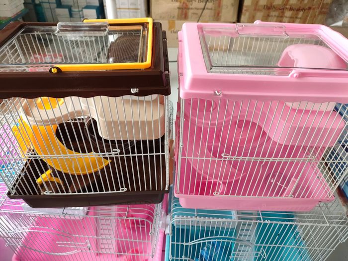 Hình ảnh 1 tại Ngọc Thơ Petshop