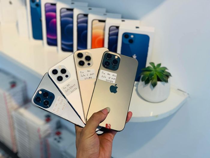 HÀ TÚ Mobile hình ảnh 2