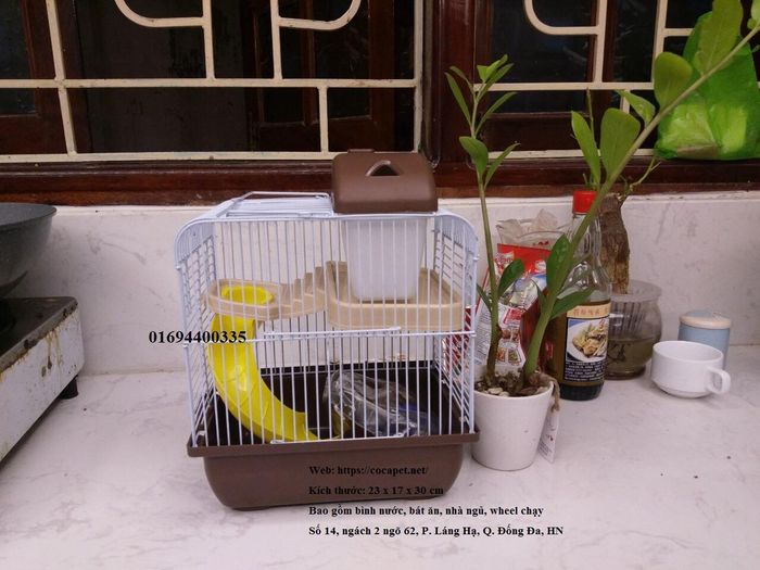 Hình ảnh Cocapet 1