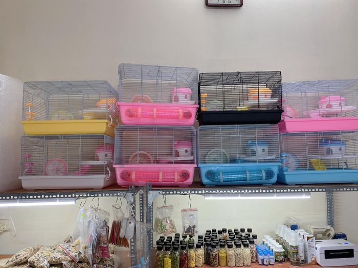Hamster Store hình 1