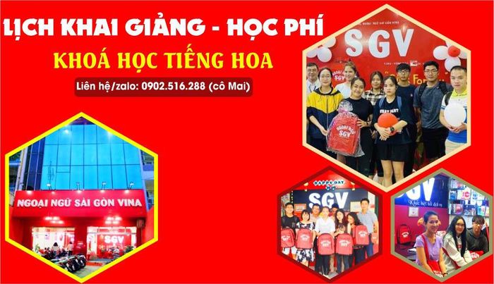 Trung Tâm Ngoại Ngữ SGV - Hình 2