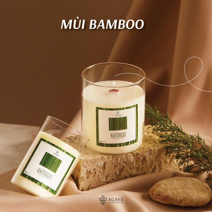 Hình ảnh của Nalieu Home 2