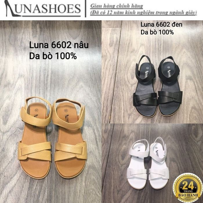 Luna Shoes hình 1