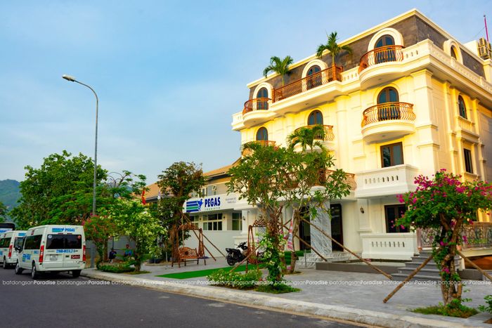 hình ảnh 2