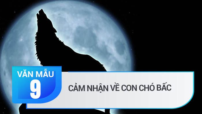 Hình ảnh minh họa (Nguồn từ internet) ảnh 1