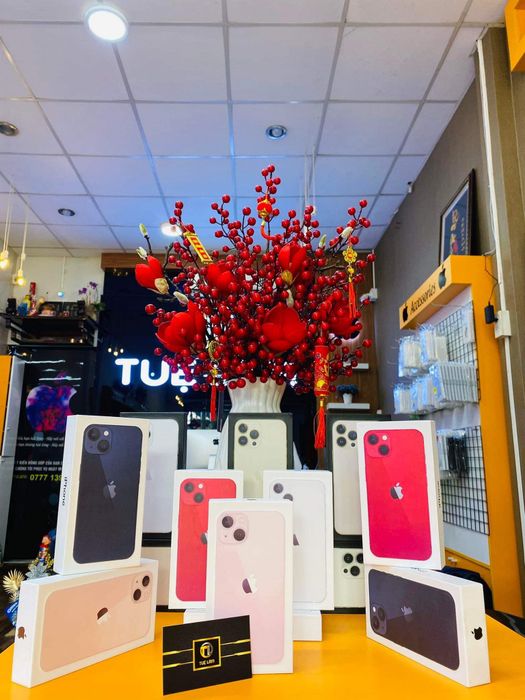 Hình ảnh Tuệ Lâm Apple