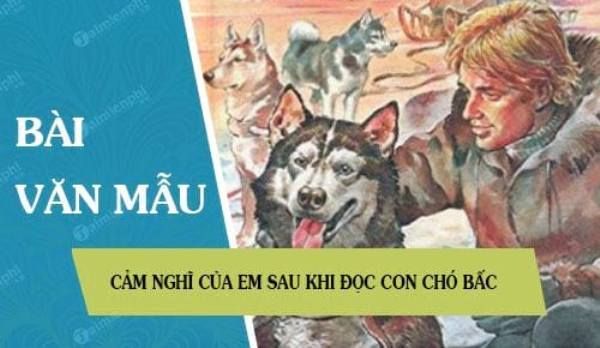 Hình minh họa (Nguồn từ internet) ảnh 1