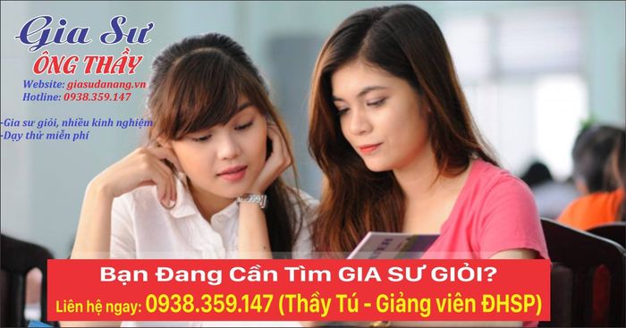 Hình ảnh 1 của Trung tâm Gia sư Đà Nẵng – Gia sư Ông Thầy