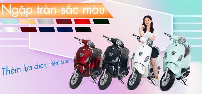 Hình ảnh khác của xe điện và xe máy 50 cc tại Hải Sơn, Hải Phòng
