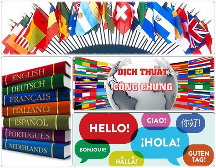 Hình ảnh 2 của Dịch Thuật Hanu