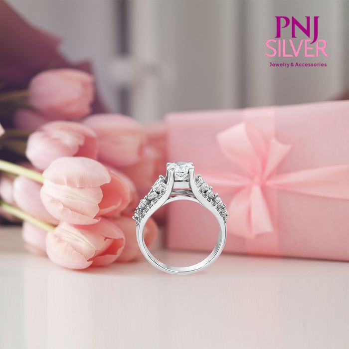 Hình ảnh PNJSILVER 1
