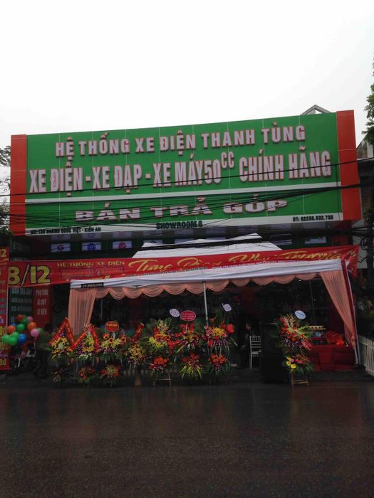Hình ảnh 2 của Thanh Tùng Xe Điện