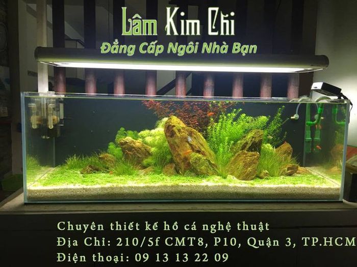 Hình ảnh Cửa hàng Thủy Sinh Lâm Kim Chi