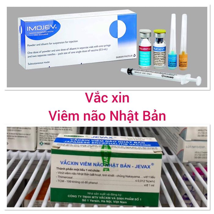 Hình ảnh Phòng tiêm chủng Vinavac - Từ Sơn, Bắc Ninh 2