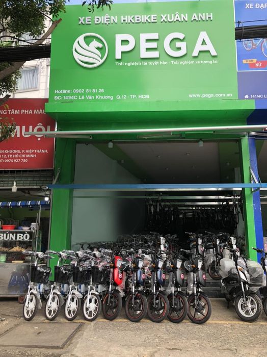 Hình ảnh 2 của PEGA